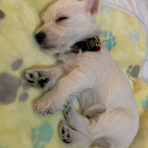 Meet your Posher, Beth - Picture 8 of 13